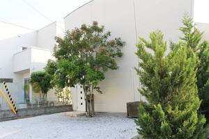 税理士法人 GlobalActivation